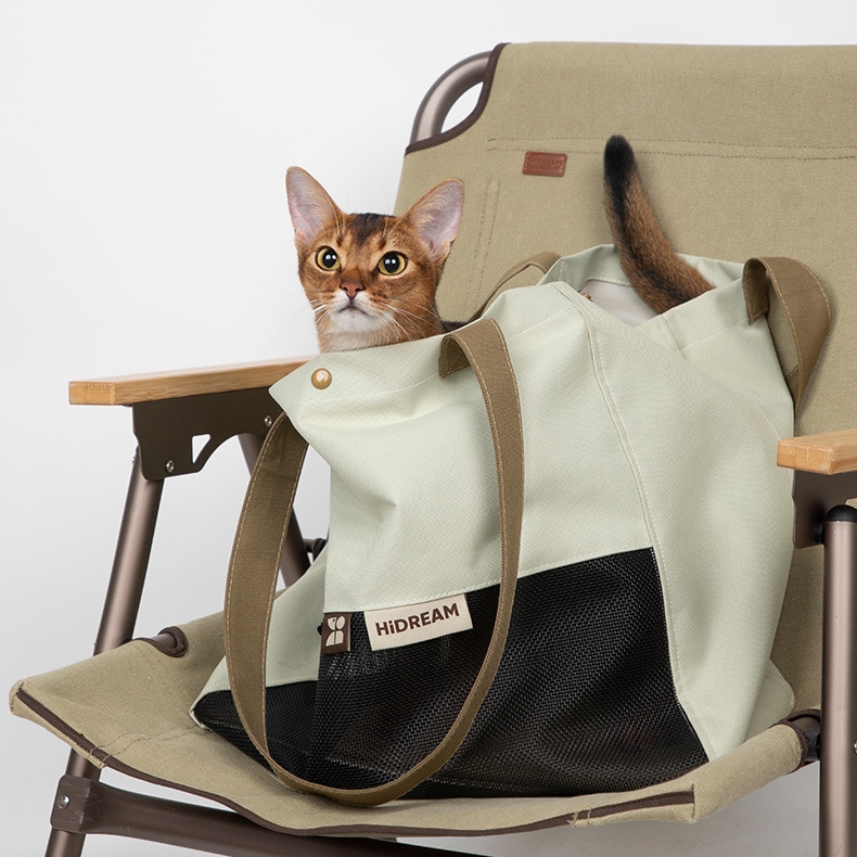 Travel Cat  : Unforgettable Journeys with Your Feline Companion